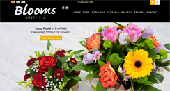 Desktop Screenshot of bloomssheffield.co.uk